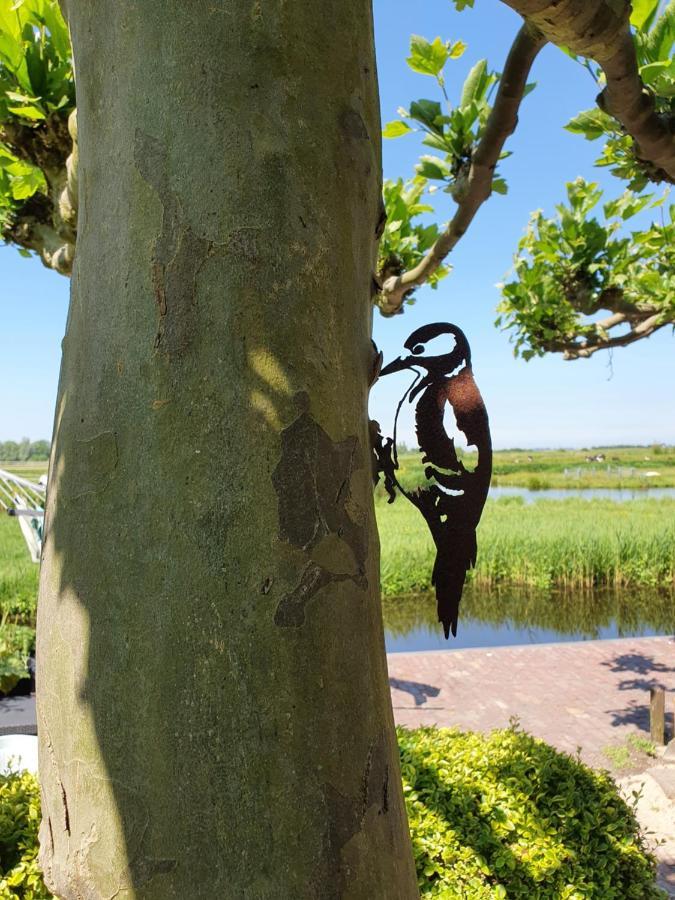 Walvisch Van Ghyspe Wormer Eksteriør bilde